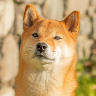 Eyumi